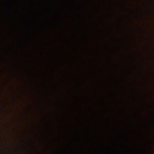 Meet your Posher, Dustin